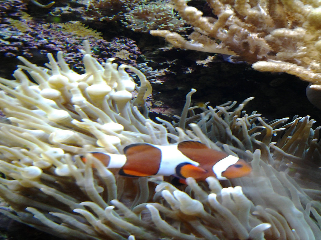 20140712_120712.jpg