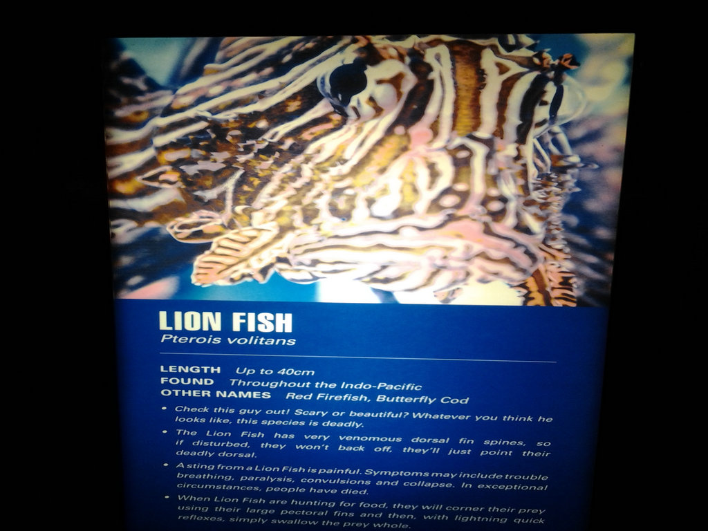 20140712_120115.jpg