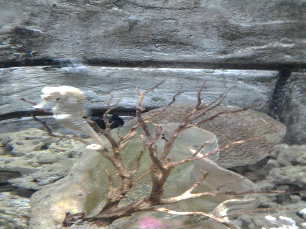 20140712_115710.jpg