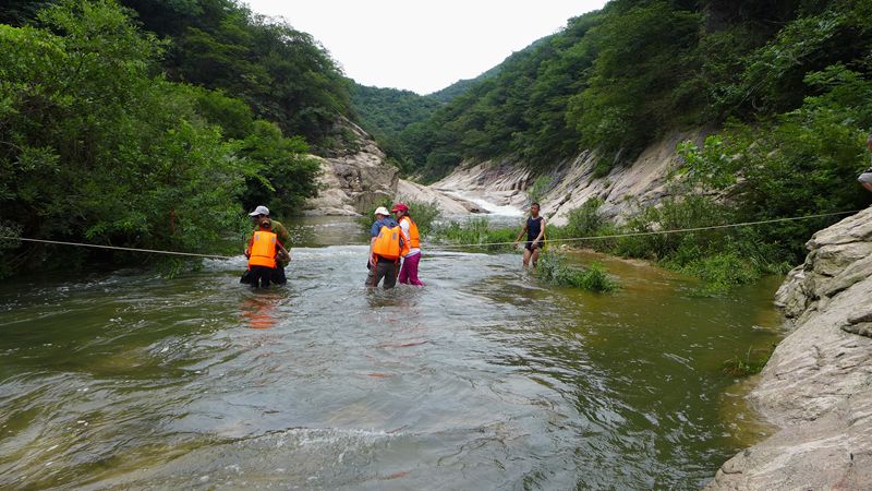 p1270937_.jpg
