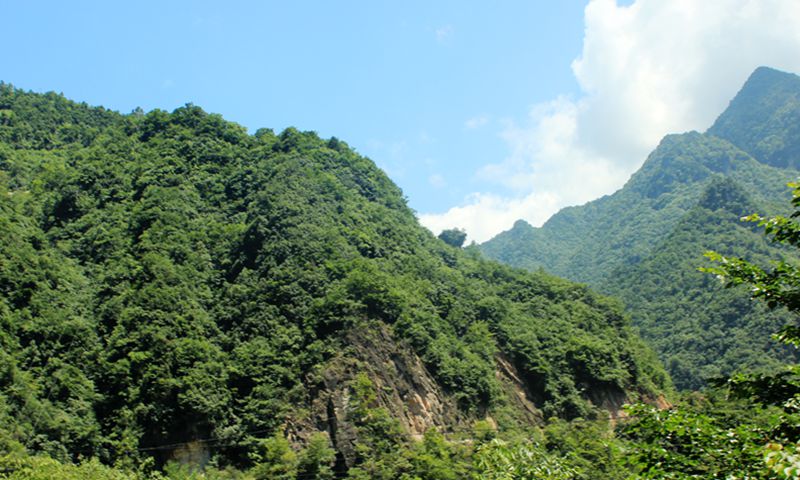 img_1413.jpg