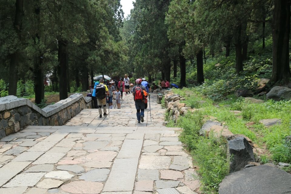 qqͼƬ20140717151943.jpg