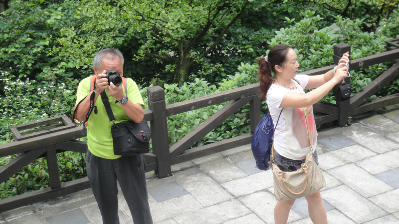 dsc00733.jpg