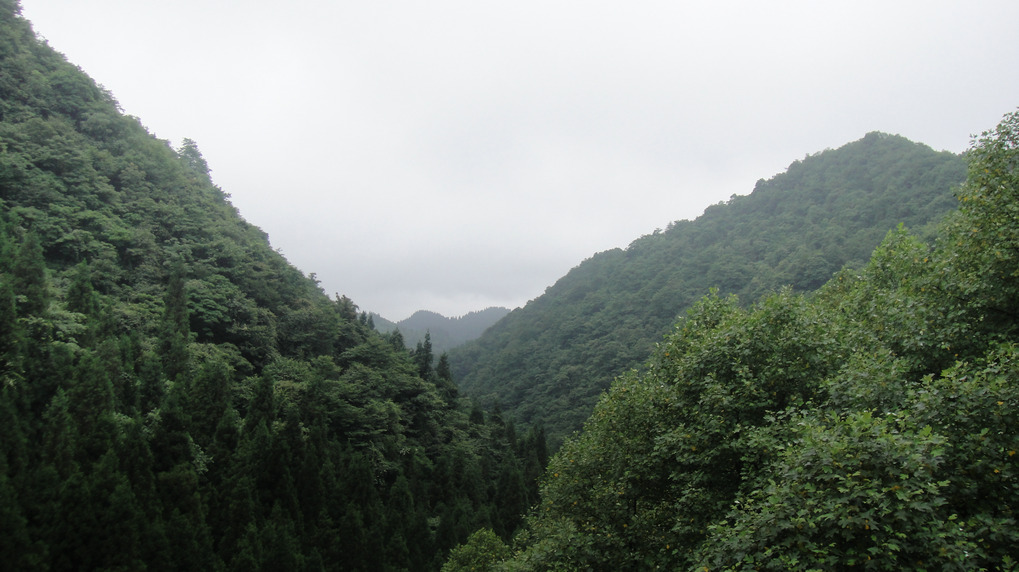 dsc00745.jpg