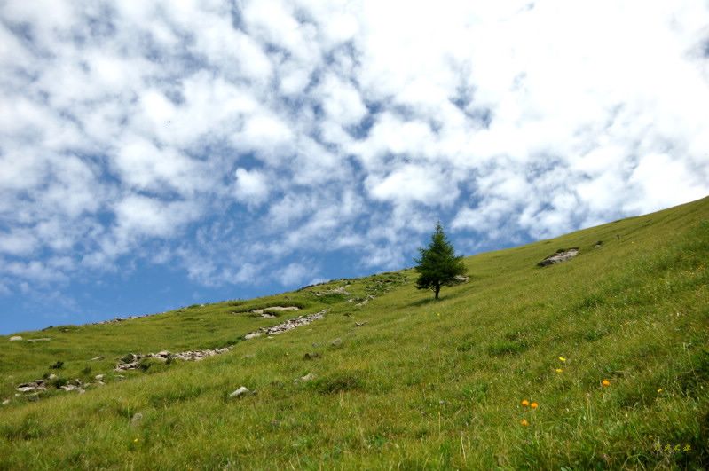 dsc_0460.jpg