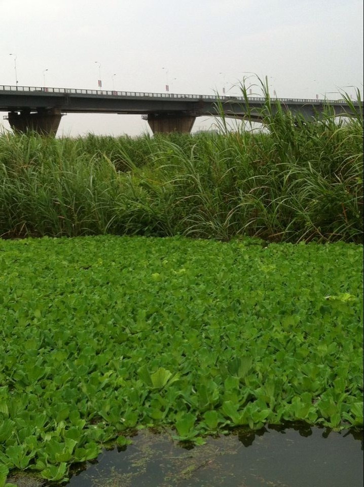 qqͼƬ20140720111329.jpg