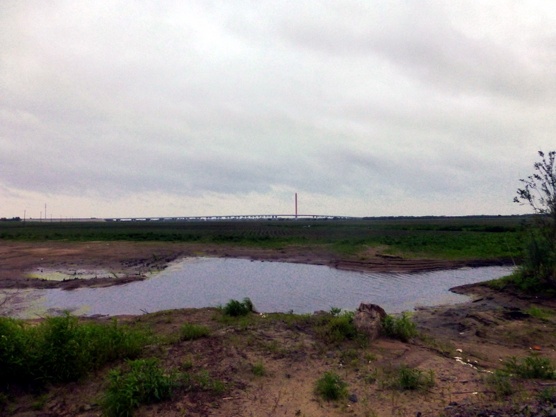 p1230006.jpg