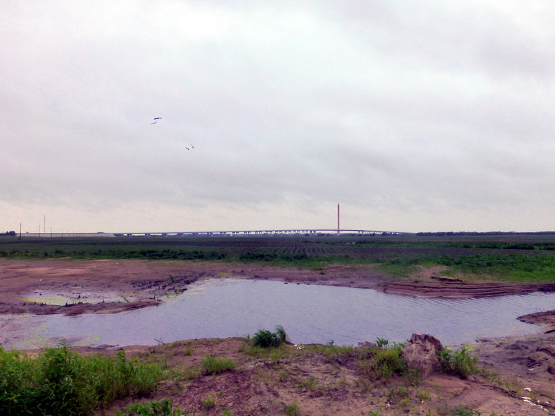 p1230008.jpg