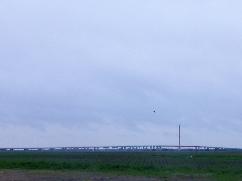 p1230009.jpg