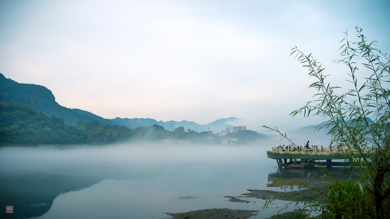 彭-5.jpg