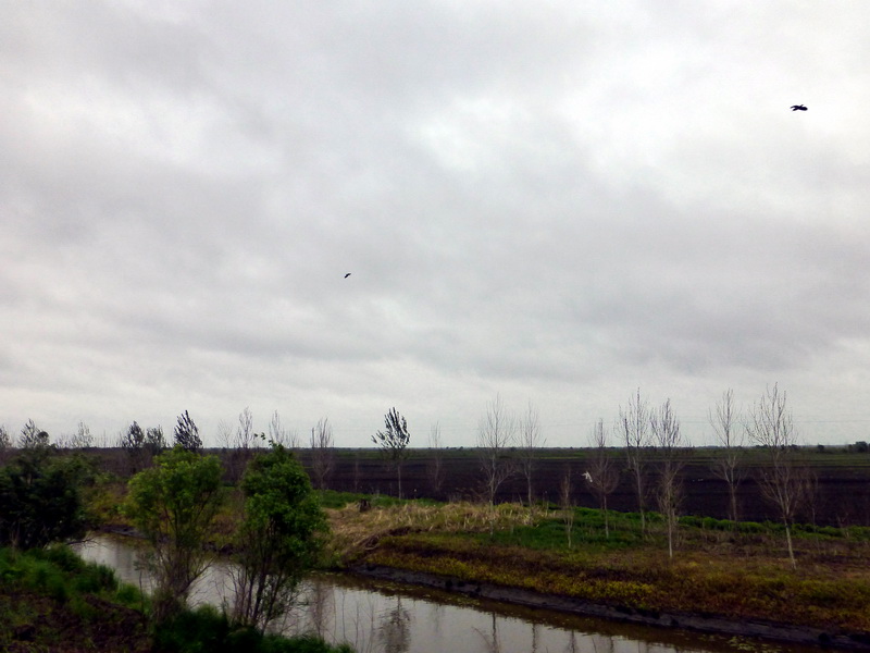 p1230015.jpg