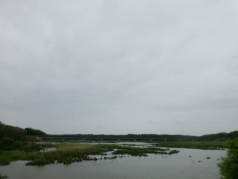p1230023.jpg