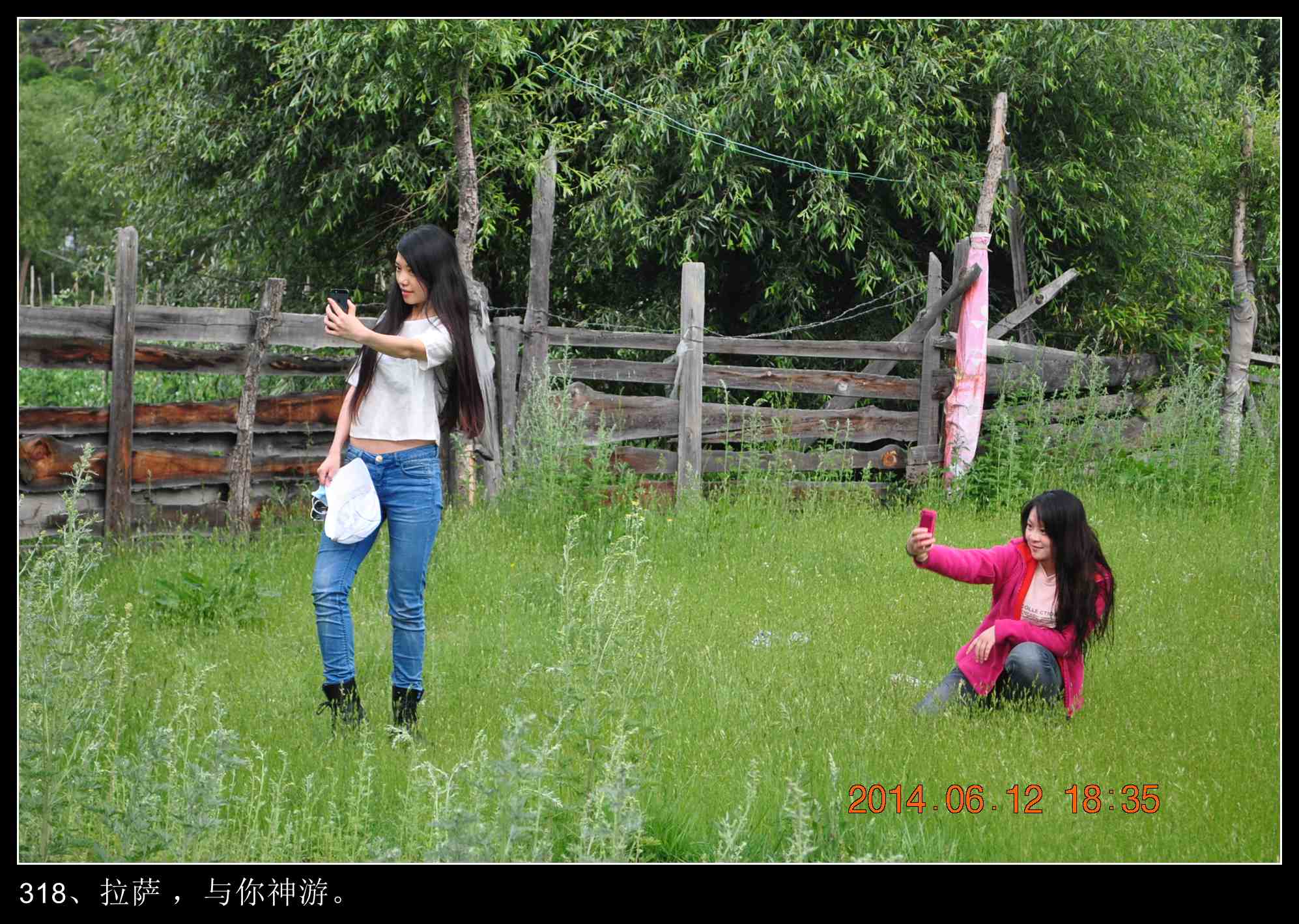 dsc_0141_conew1.jpg