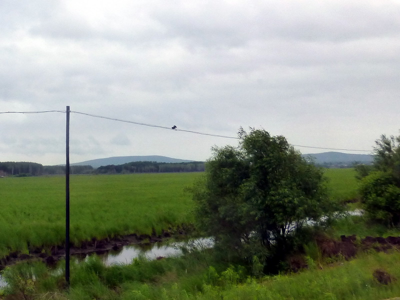 p1230025.jpg