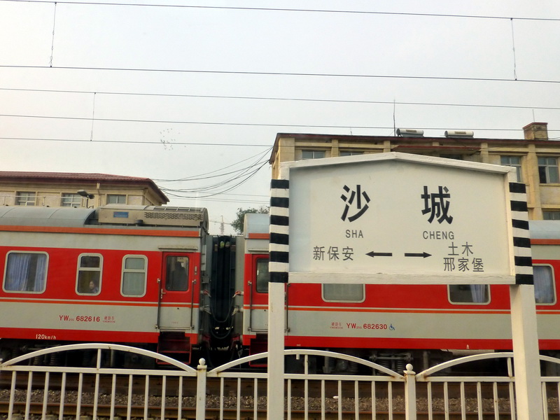 p1230201.jpg