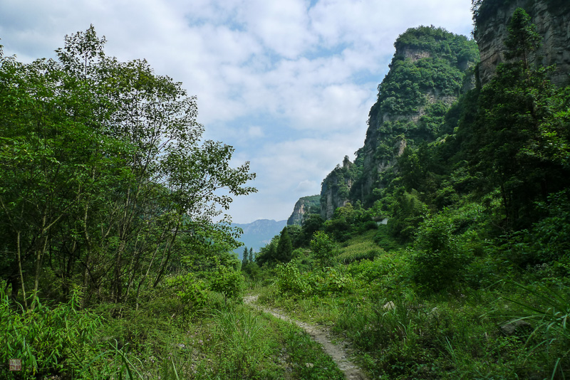 彭-84.jpg