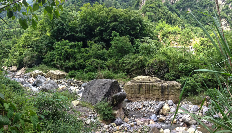 彭-85.jpg