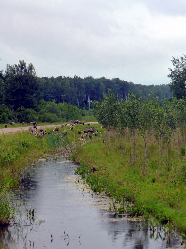 p1230045.jpg