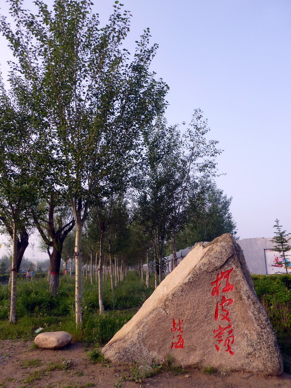p1230225.jpg