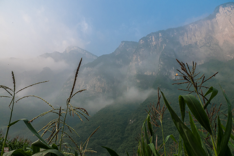 彭-110.jpg
