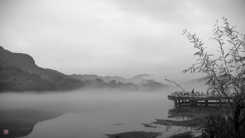 彭-6.jpg