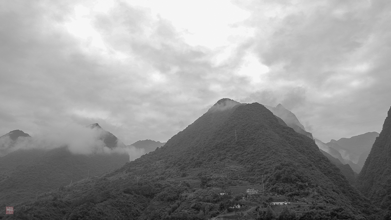 彭-14.jpg