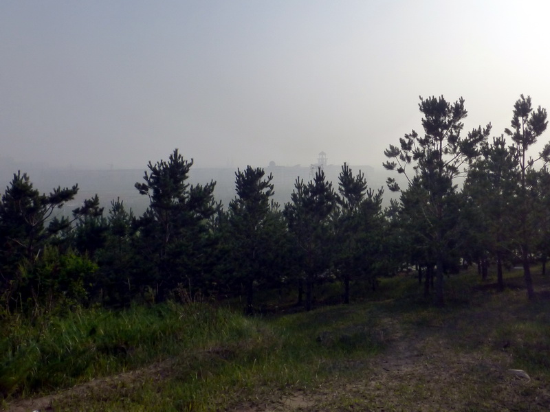 p1230249.jpg