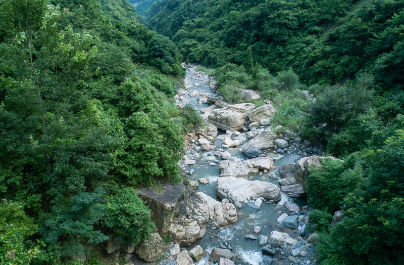 彭-100.jpg
