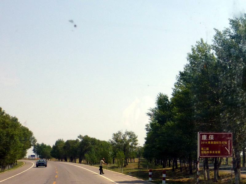 p1230293.jpg