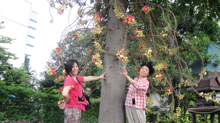 dsc08854.jpg