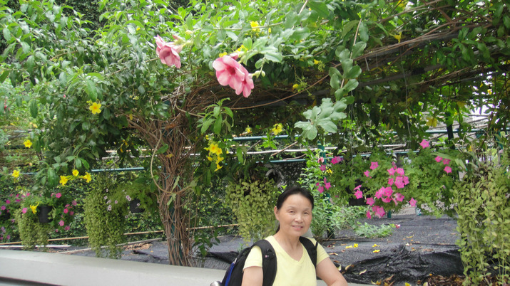 dsc08909.jpg