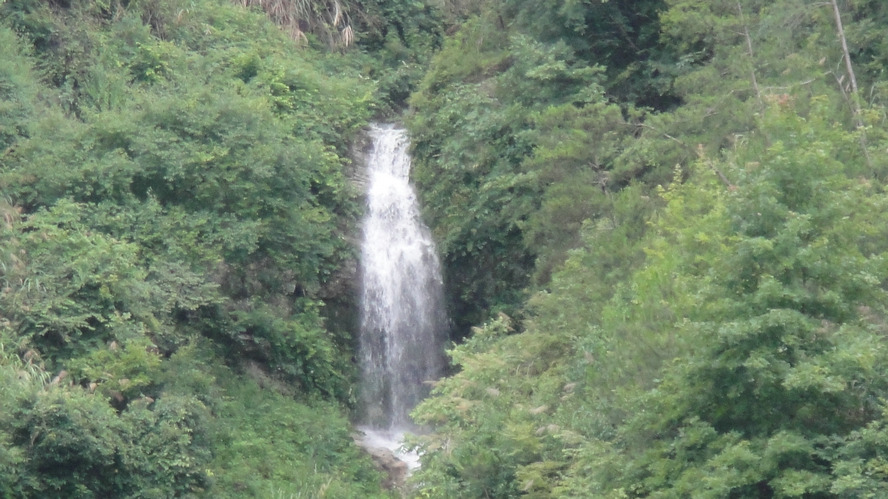 dsc00038.jpg