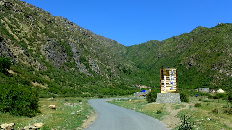 p1000940_.jpg