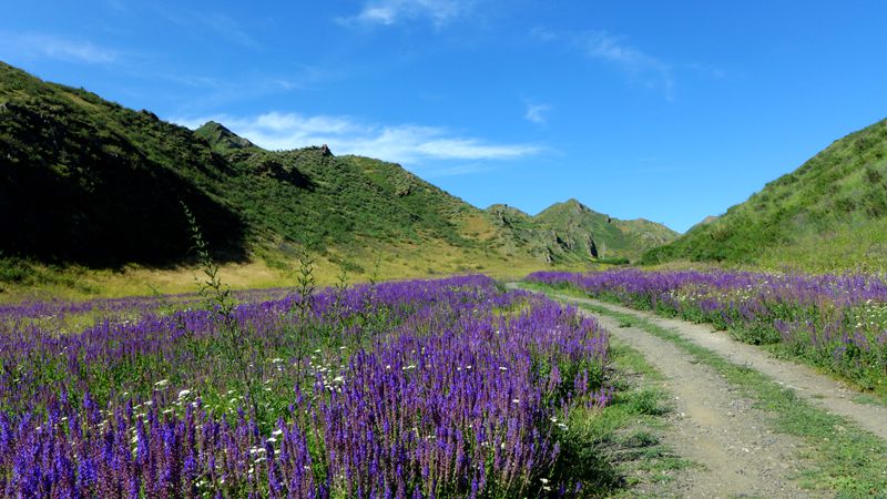 p1000995_.jpg