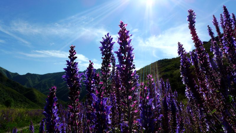 p1000997_.jpg