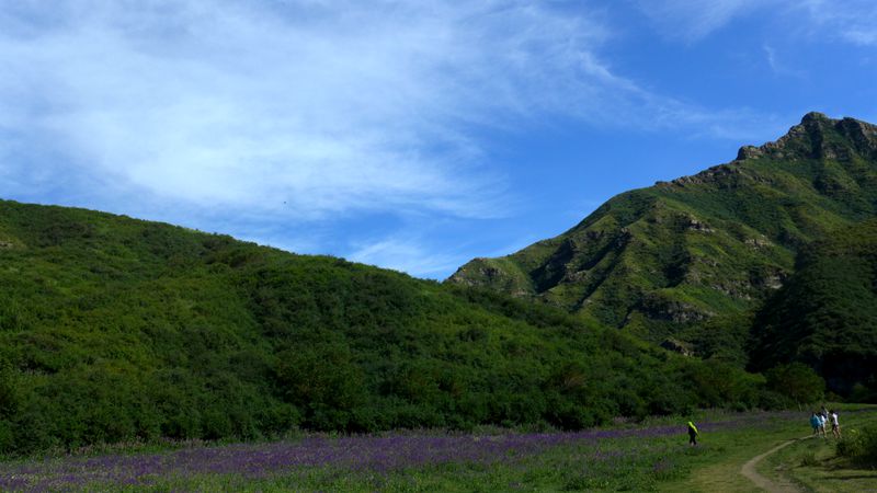 p1010016_.jpg