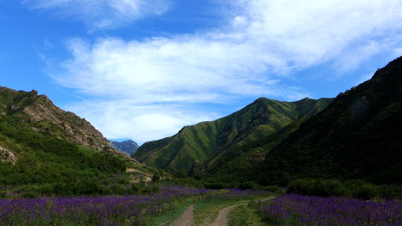p1010005_.jpg