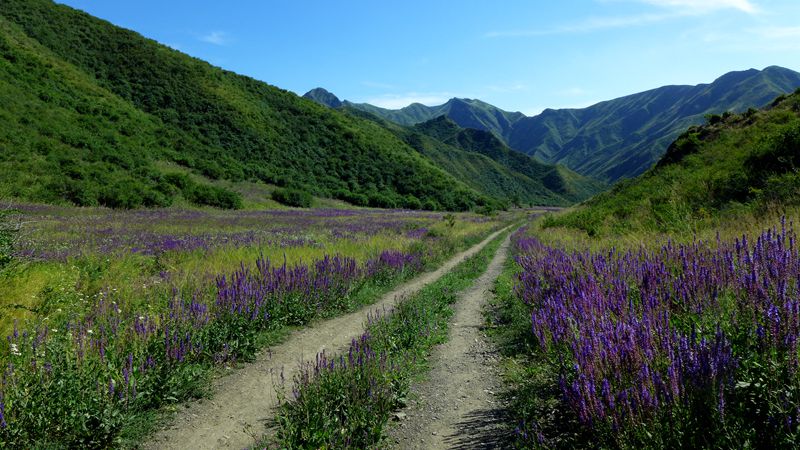 p1000988_副本.jpg