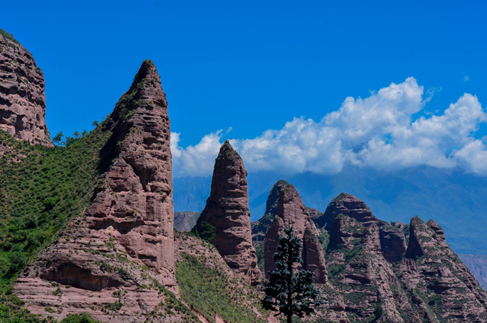 dsc_1554.jpg