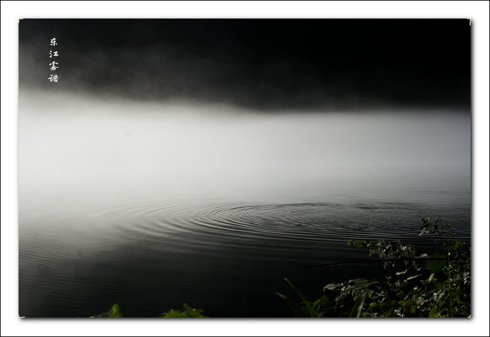 dsc_0552_.jpg