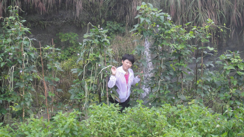 dsc00254.jpg