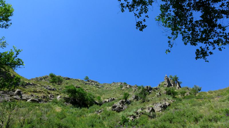 p1000951_.jpg