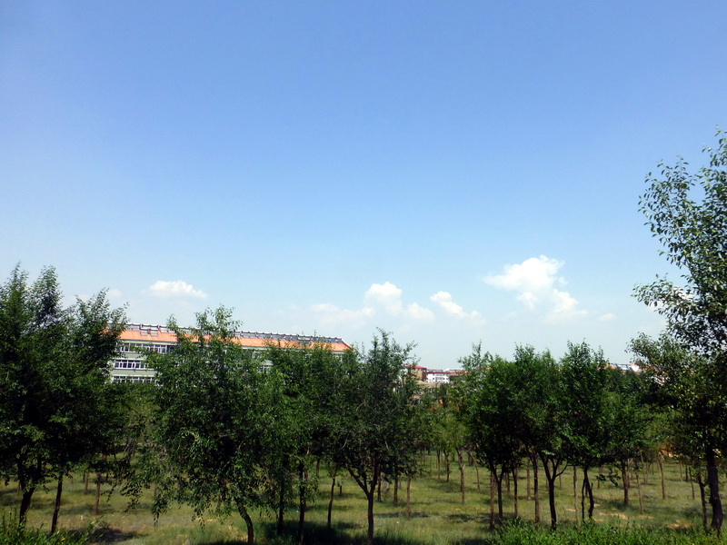 p1230338.jpg