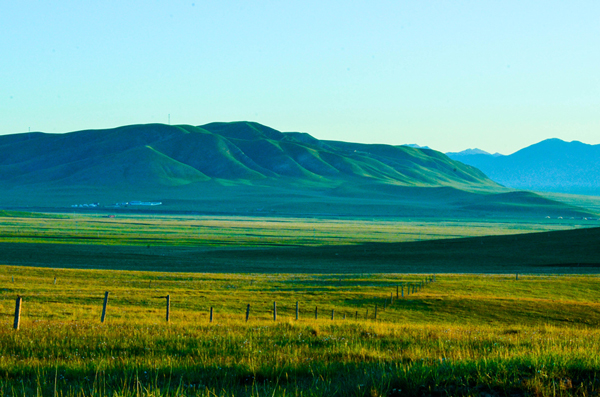 dsc_2236.jpg