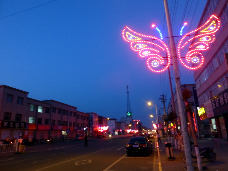 p1230362.jpg