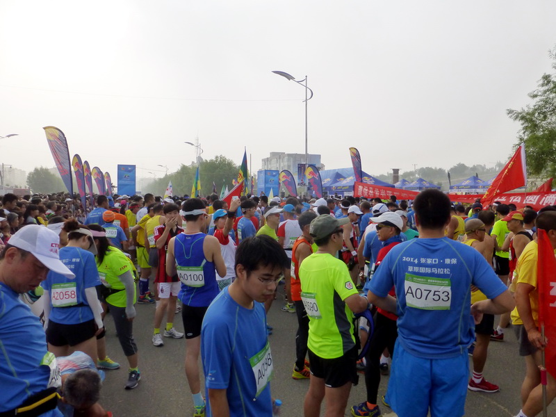 p1230384.jpg