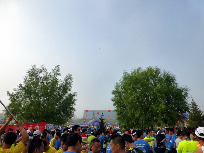 p1230387.jpg