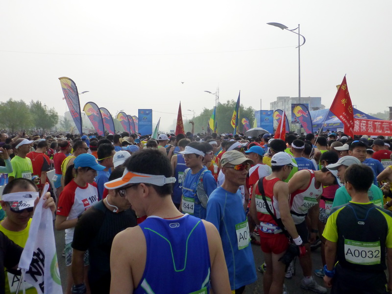 p1230388.jpg