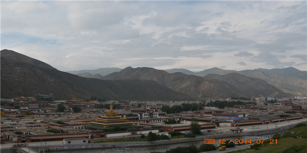 dsc_0195_.jpg