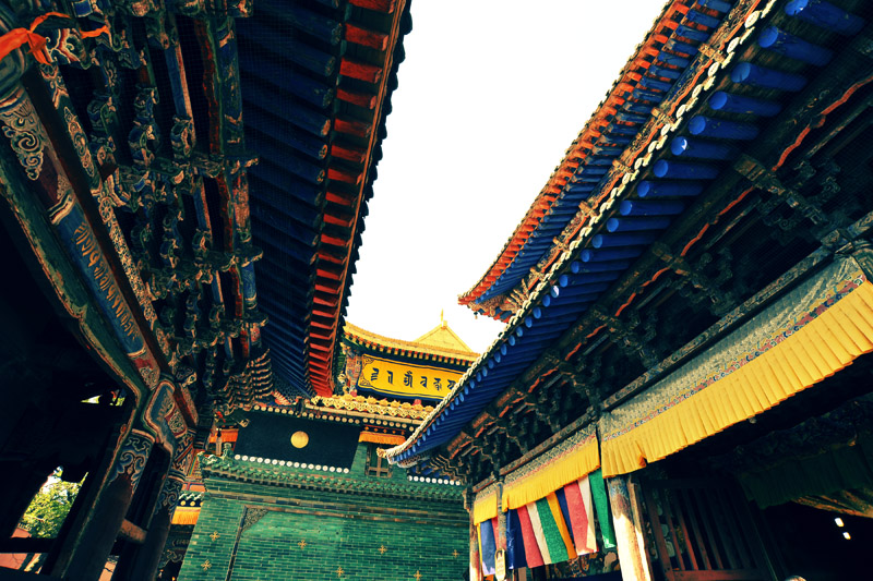 1sc_6308.jpg